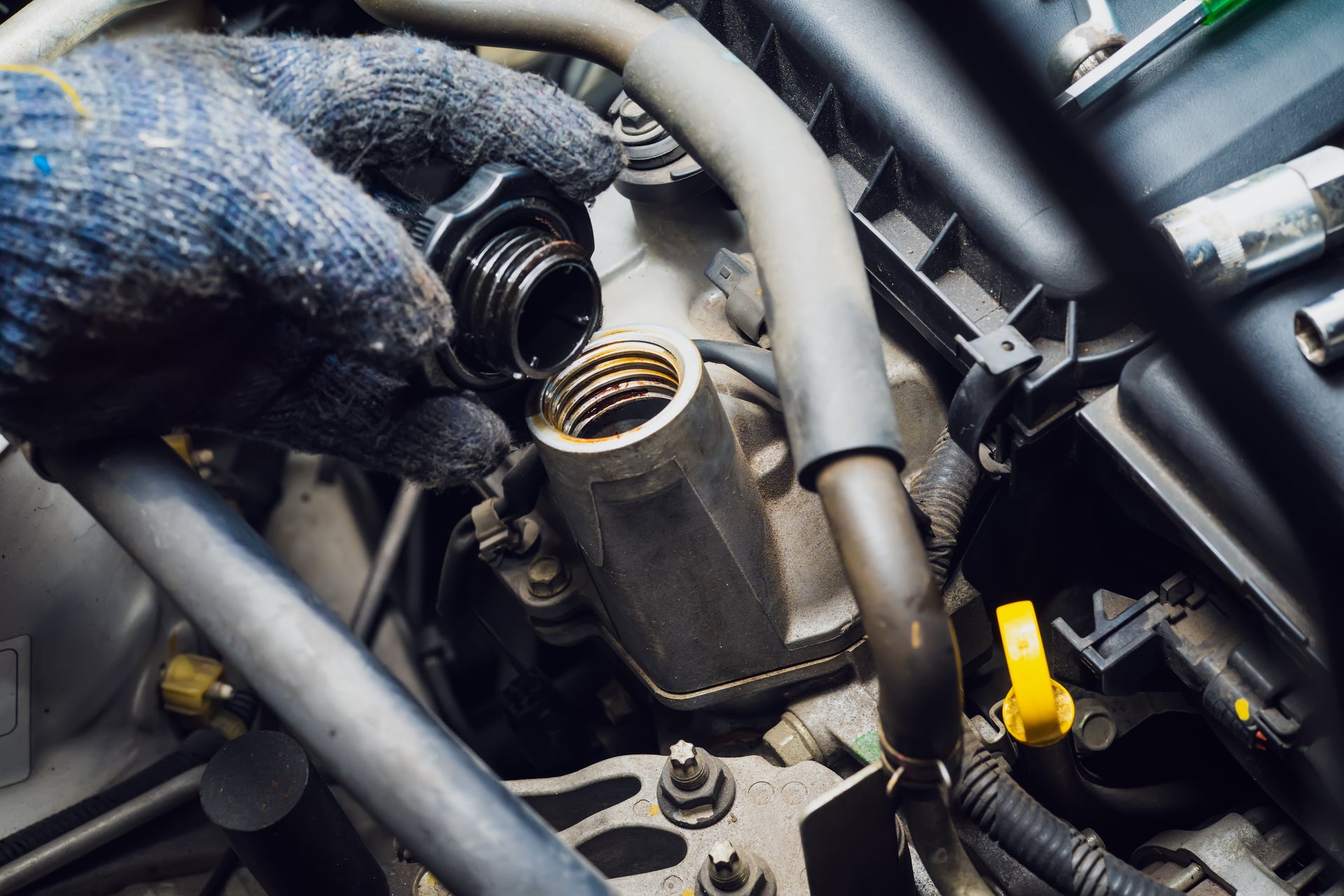 Exhaust System